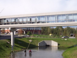 Window Cleaning Tools